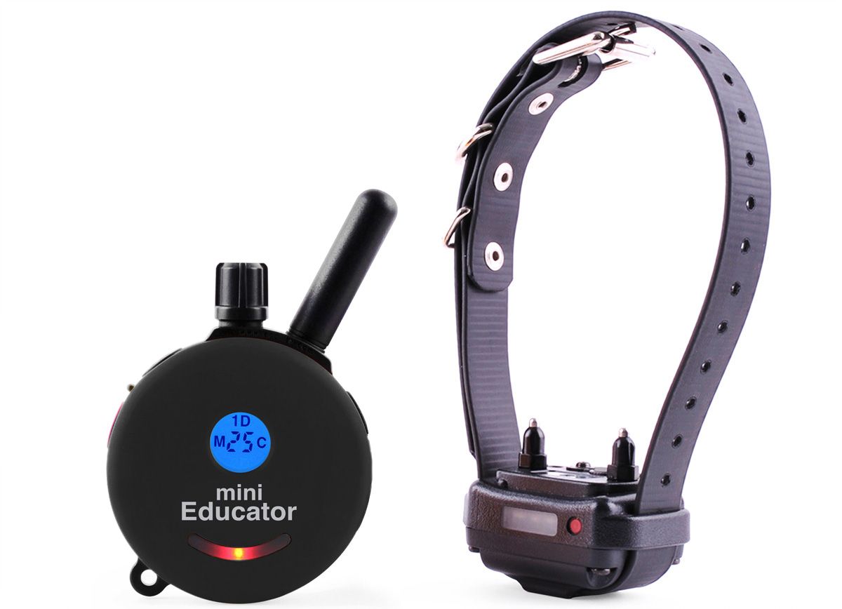 Mini-Educator E-Collar System ET-300